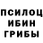 Псилоцибиновые грибы Magic Shrooms Juzshura