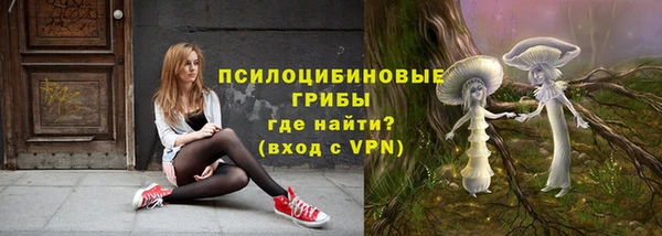 меф Гусь-Хрустальный