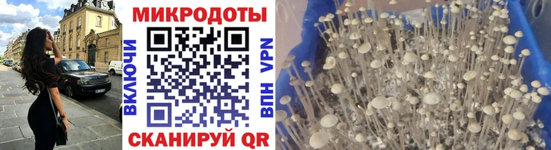 Галлюциногенные грибы MAGIC MUSHROOMS  Барабинск 